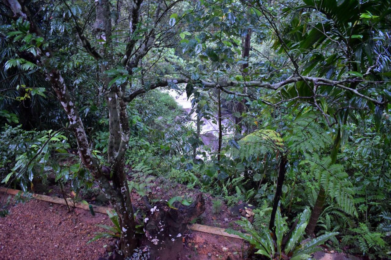 Sinharaja Kurulu Ella Eco Resort Deniyaya Exterior photo